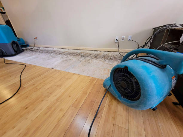 Professional Flood Damage Cleanup technician working in Colchester, IL